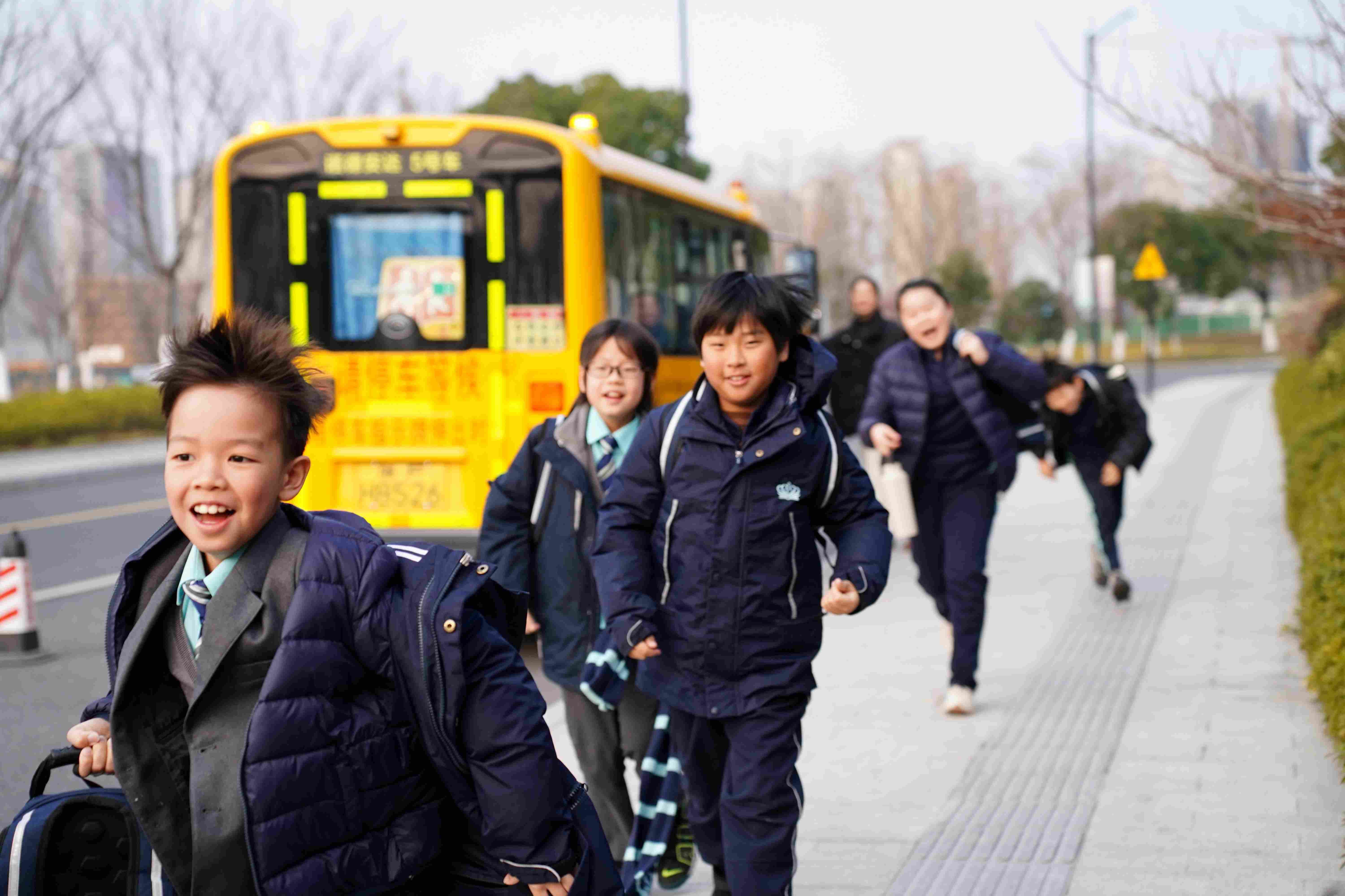 教学特色与学术优势 | 嘉兴市诺德安达学校 - 05 VisualTimeline WithTags