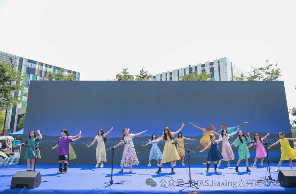 国际日暨草坪音乐节回顾:一场文化的盛宴,一次心灵的狂欢 - festival