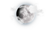 校园环境 | 嘉兴市诺德安达学校 - 09 - Local Area Map-weather icon
